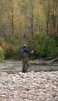 bank fishing