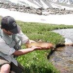 Glacier Lakes Cutthroat trout fishing