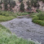 One Famous Spot on the Middle Fork Ranch !