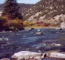 Eagle River Fly Fishing