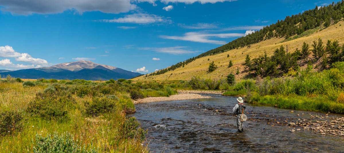 Colorado Guided Fly Fishing - Full Day Wade Trip