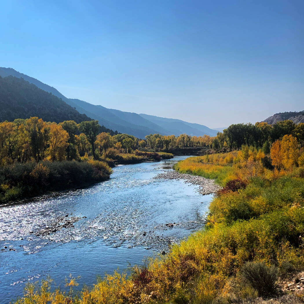 Vail Fly Fishing on the Eagle River