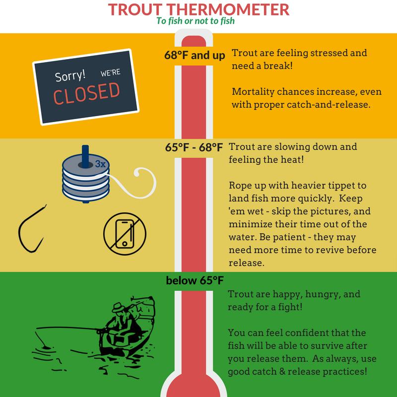 Watertemperaturestellalotabouthowthefisharedoing